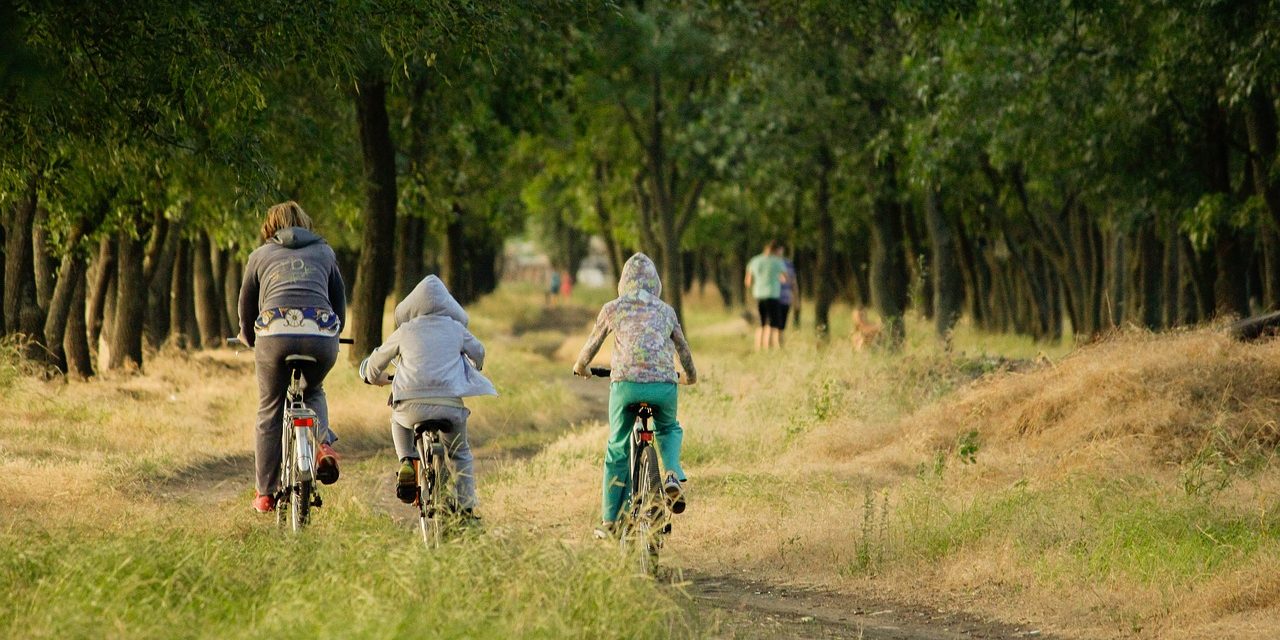 primavera-zen-con-tu-trastero-de-alquiler-en-ciudad-lineal Prepara una Primavera Zen con un trastero o mini almacén en Ciudad Lineal