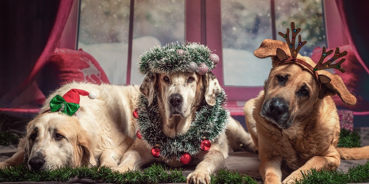 Ventajas de disponer de un trastero de alquiler durante la Navidad