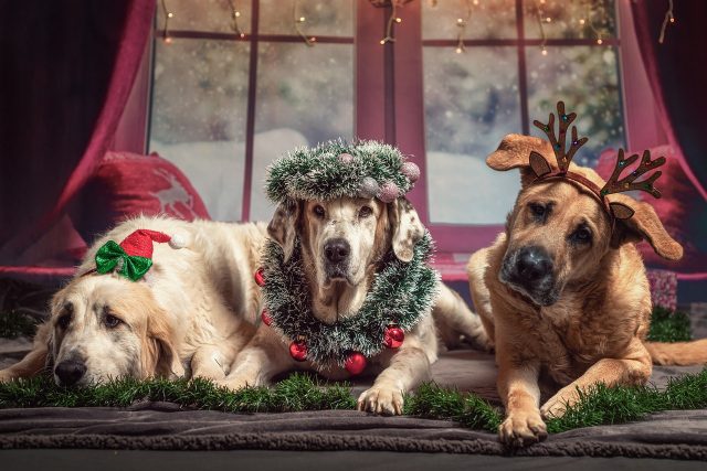 Ventajas de disponer de un trastero de alquiler durante la Navidad
